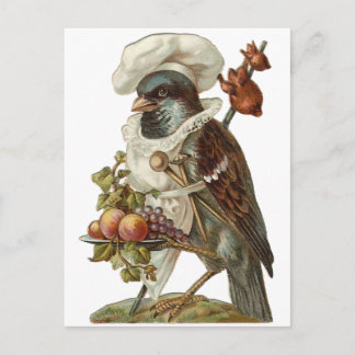 Postal Gorra de Aves con Comida y Chef