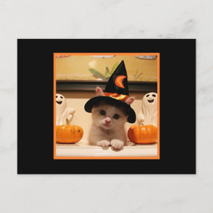 Postal Gorra De Brujas Y Gatitos De Halloween
