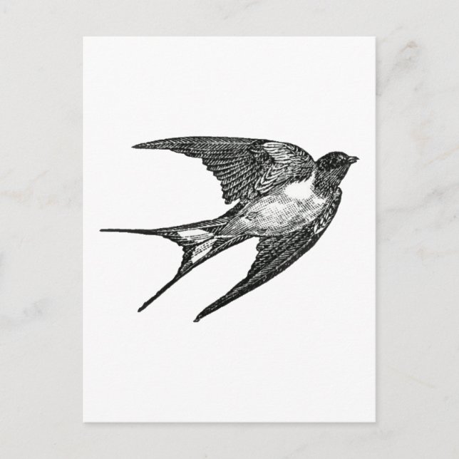 Postal gorrón (Anverso)