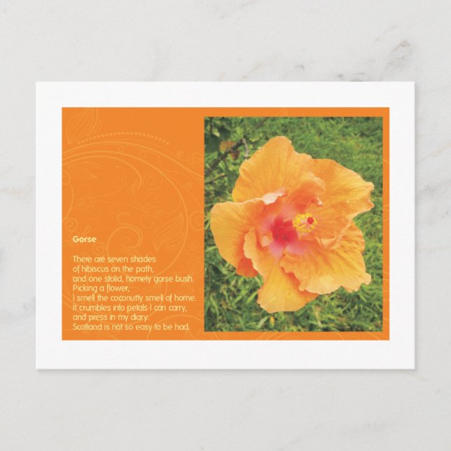 Postal Gorse (Anverso)