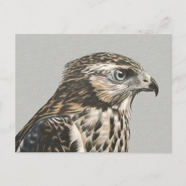 Postal Goshawk inmadura (Anverso)