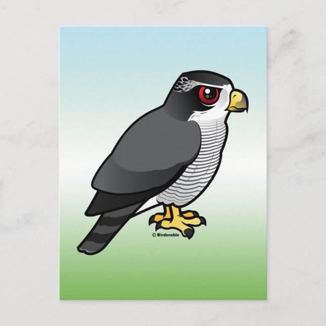 Postal Goshawk septentrional (Anverso)