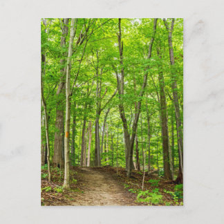Postal Gosnell Big Woods Webster, NY