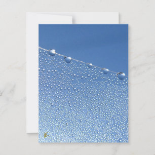 Postal Gota pacífica, meditativa y azul de un dew