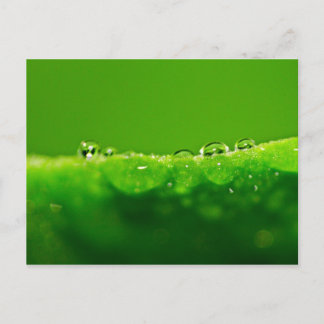 Postal Gotas de agua