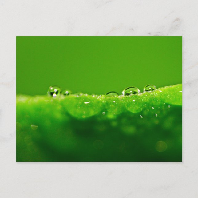 Postal Gotas de agua (Anverso)