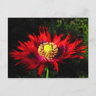 Postal gotas de lluvia