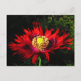 Postal gotas de lluvia