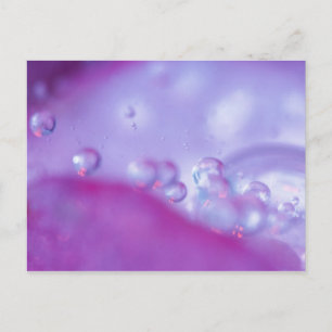 Postal Gotas de rocío en abstracto de pétalo de flor. Cré