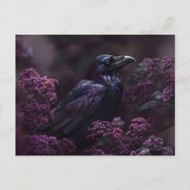 Postal Gothic Raven Purple Foliage (Anverso)