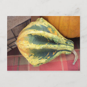 Postal Gourd en reposo
