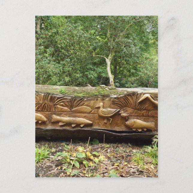 Postal Grabación de registros (Anverso)