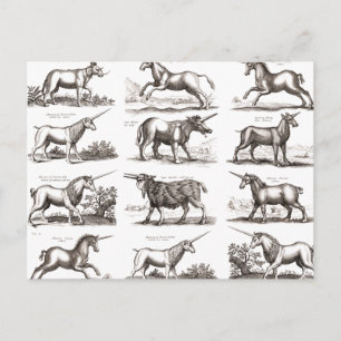 Postal Grabado Antiguo de Unicornio Especimen de Zoología