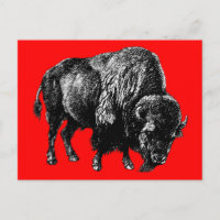 Grabado de madera de Búfalo Americano Bison Vintag