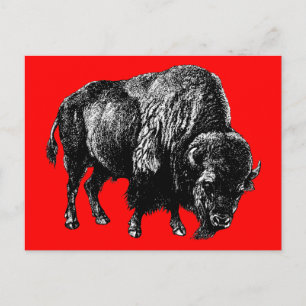 Postal Grabado de madera de Búfalo Americano Bison Vintag