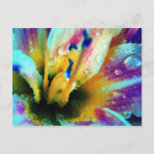 Postal Grabado en relieve Lily Postcard