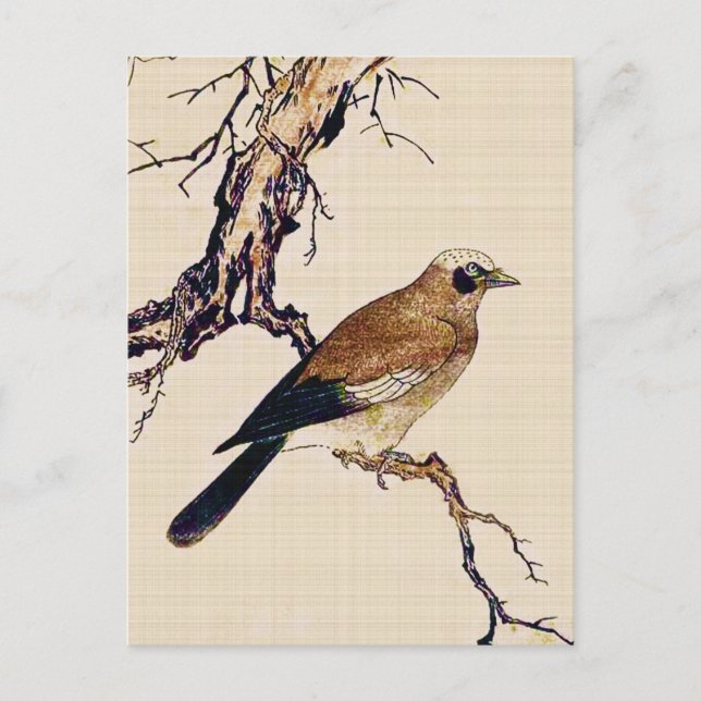 Postal Grabar en madera japonés de un pinzón, de un Brown (Anverso)