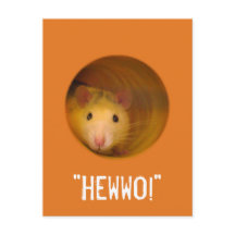 Gracia de ilusión óptica divertida en el agujero