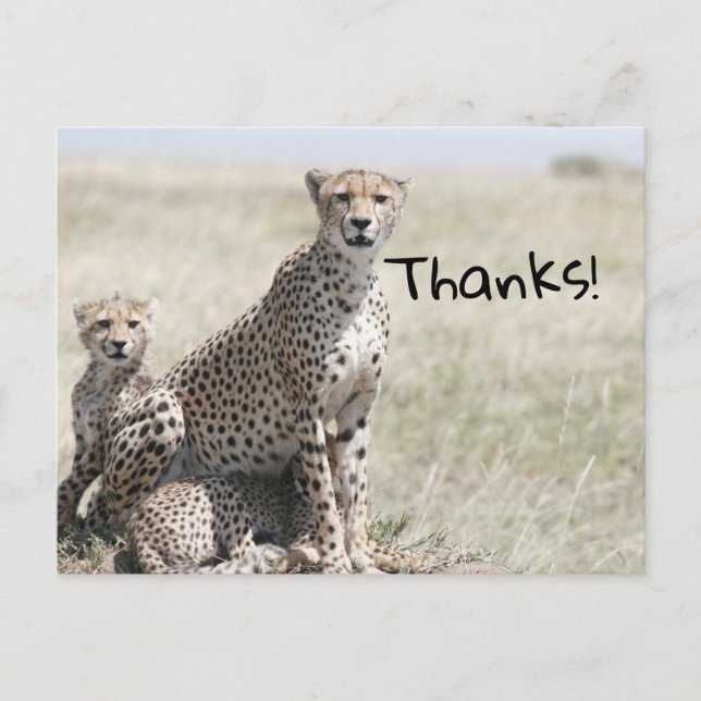 Postal Gracias (Anverso)