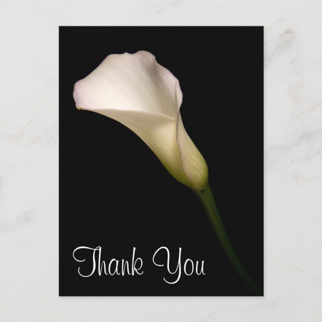 Postal Gracias (Anverso)