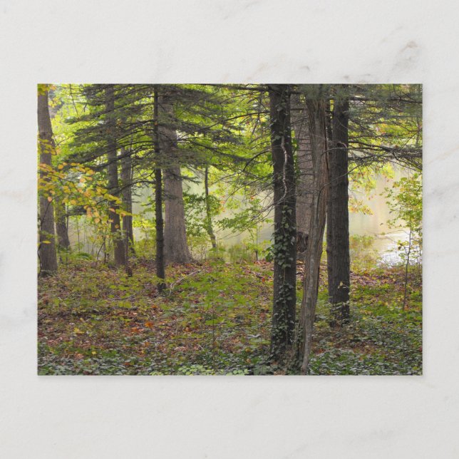 Postal Gracias a un soldado, DSCF7047 (Anverso)