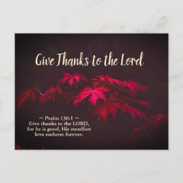 Postal Gracias al Señor, la inspiración de la Biblia Vers