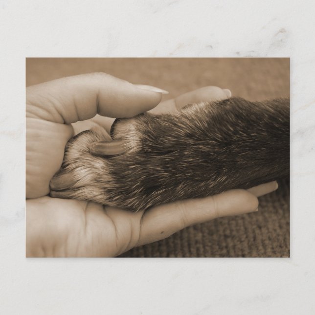 Postal Gracias, amigo mío. (Anverso)