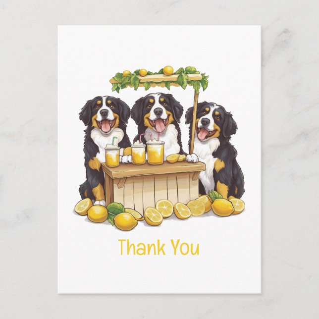 Postal Gracias Bernese Mountain Dogs Puesto de Limonada (Anverso)