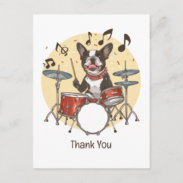 Postal Gracias Boston Terrier Toca la Batería (Anverso)