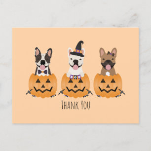 Postal Gracias Bulldogs Franceses Calabaza