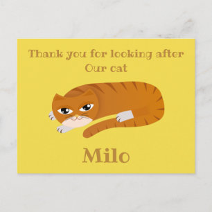 Postal Gracias canguro de gatos
