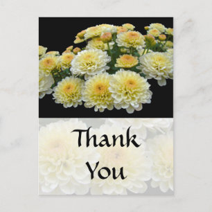 Postal Gracias coche - Lemon Meringue Chrysanthemums