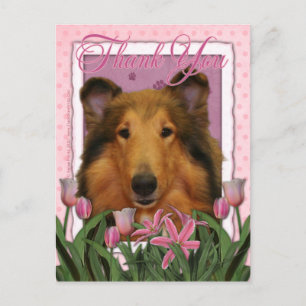 Postal Gracias - Collie - Natalie