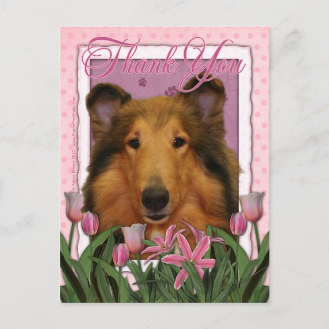 Postal Gracias - Collie - Natalie (Anverso)
