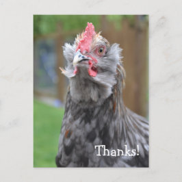 Postal Gracias de un feliz gallo