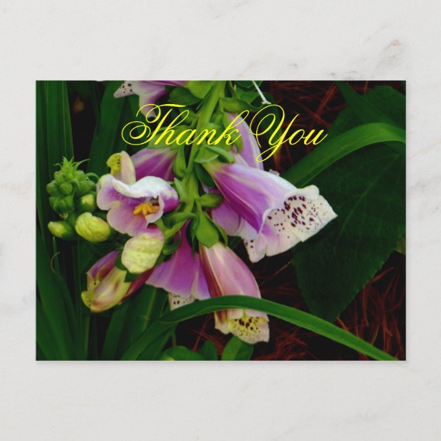 Postal Gracias Digitalis Purpurea Flowers (Anverso)