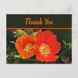 Postal Gracias Flor Desértica Brillante Foto Flor de Cact