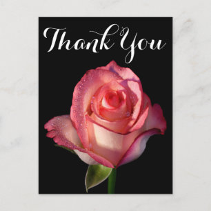 Postal Gracias Flor Rosa Rosa Flor Negra Floral