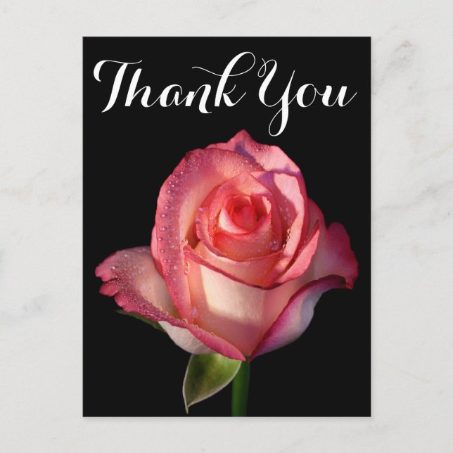 Postal Gracias Flor Rosa Rosa Flor Negra Floral (Anverso)
