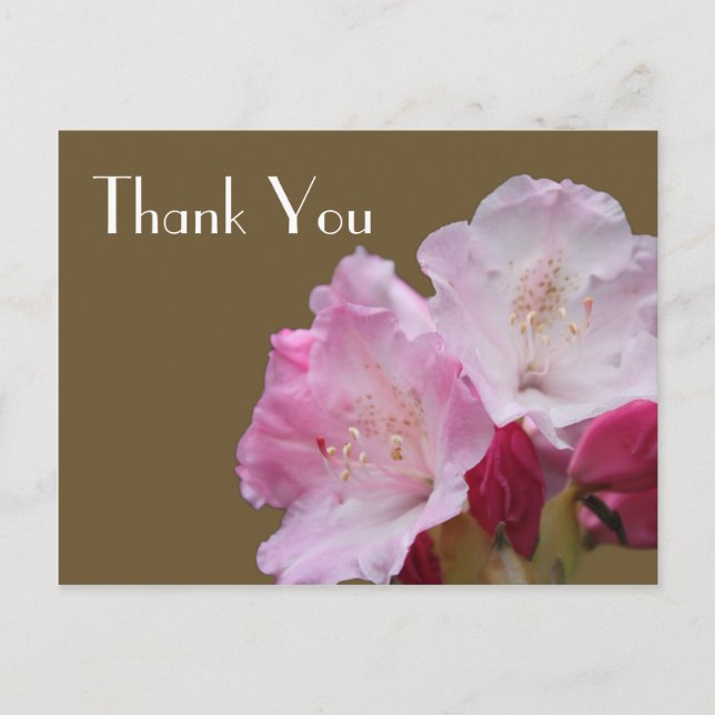 Postal Gracias, flores de azalea rosa, 杜 鹃 花 (Anverso)