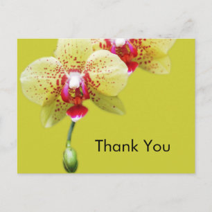 Postal gracias, flores de orquídea amarilla