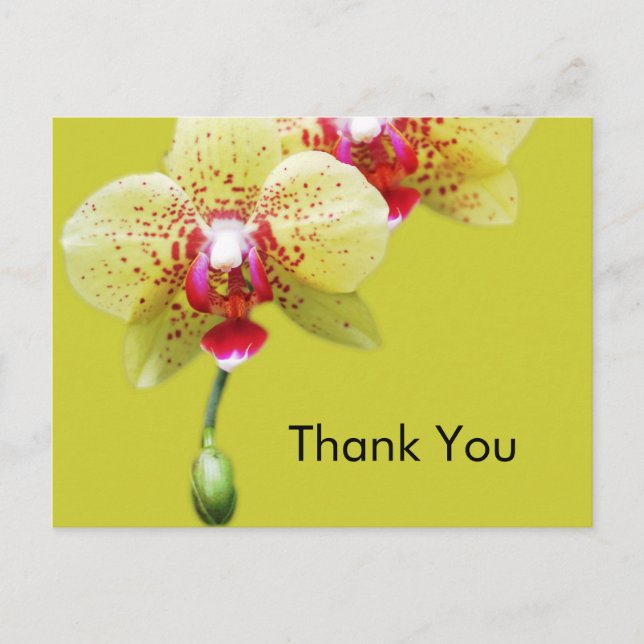 Postal gracias, flores de orquídea amarilla (Anverso)