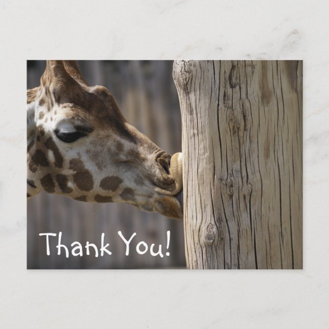Postal Gracias Giraffe Kisses (Anverso)