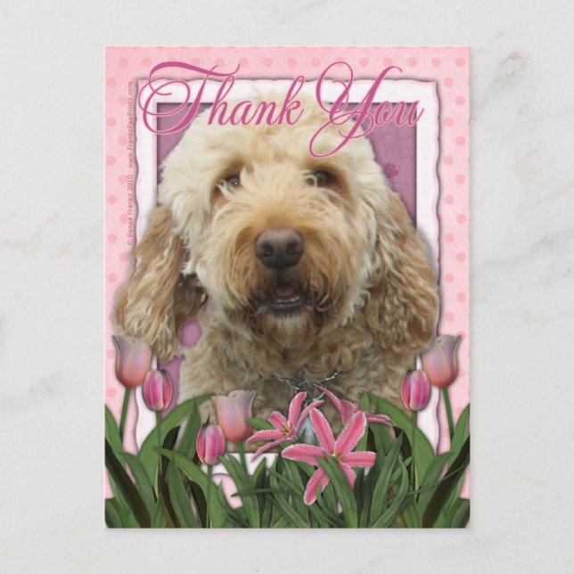 Postal Gracias - Goldendoodle (Anverso)