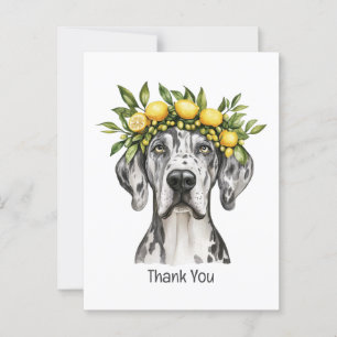 Postal Gracias Merle Gran Danés Perro Corona de Limón