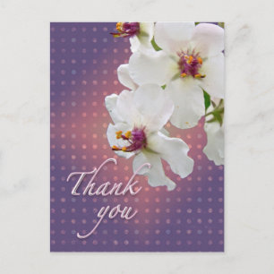 Postal Gracias Moth Mullein Wildflower