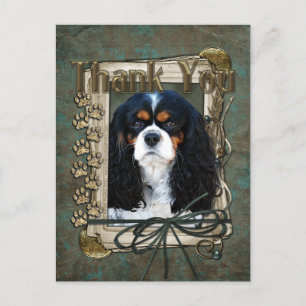 Postal Gracias - Paws de piedra - Cavalier