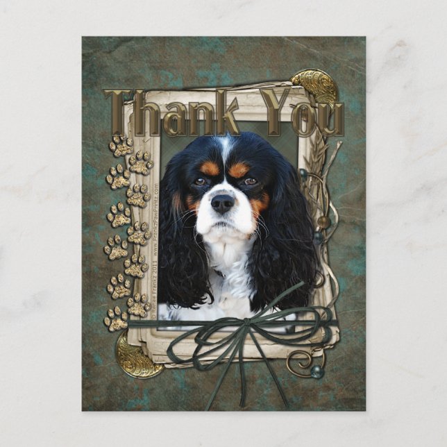 Postal Gracias - Paws de piedra - Cavalier (Anverso)