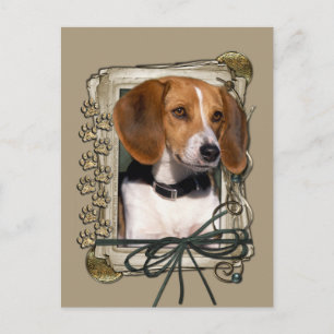 Postal Gracias - Piedras - Beagle