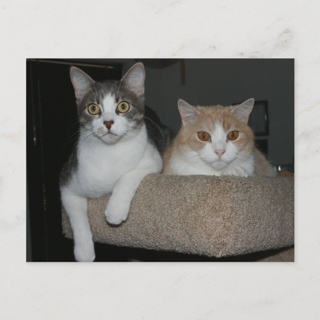 Postal Gracias por mentorarme (Anverso)